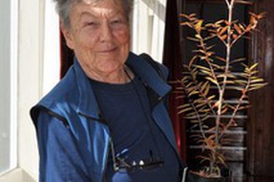 Gil Hanly