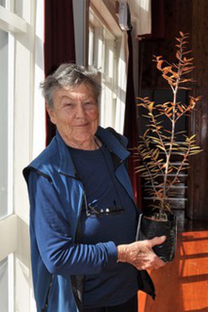 Gil Hanly