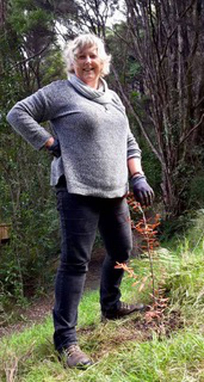 Cynthia Smith with a kauri seedling